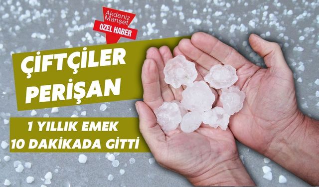 Çiftçiler perişan: 1 yıllık emek 10 dakikada gitti
