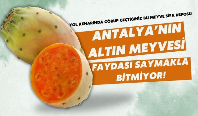 Antalya'nın altın meyvesi: Faydası saymakla bitmiyor