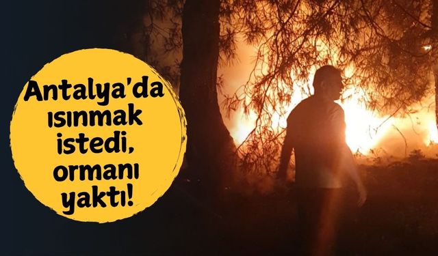 Antalya'da ısınmak istedi, ormanı yaktı!