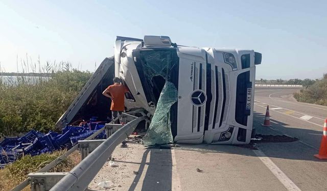 Domates tarlaya değil yola serildi!