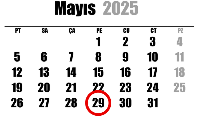 29 Mayıs ne günü?