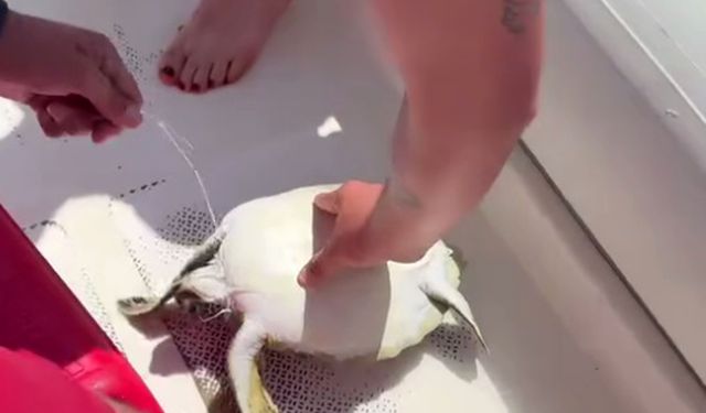 Kurtarılma anı kayıtlara alındı