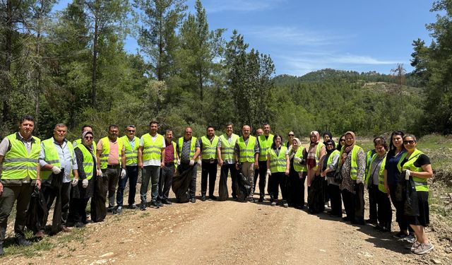 Protokolden ormanlara nefes