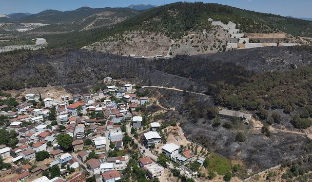 Zümrüt yeşili orman manzaraları kömürlüğe döndü