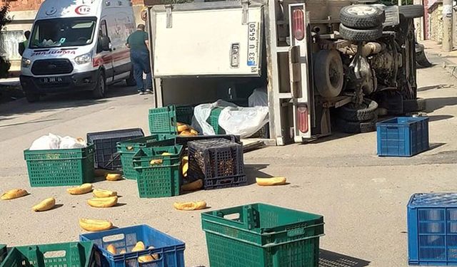 Kamyonetler çarpıştı