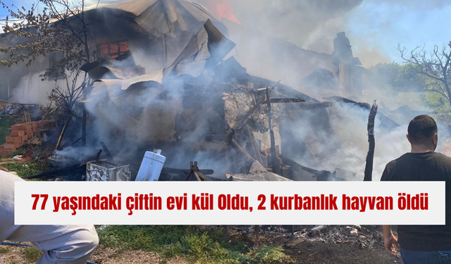 77 yaşındaki çiftin evi kül 0ldu, 2 kurbanlık hayvan öldü