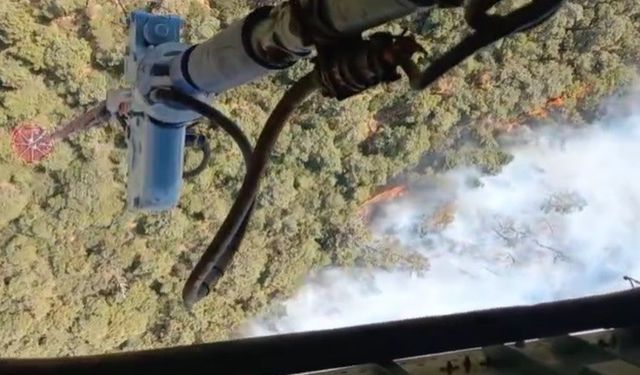 Foça’da orman yangını: Havadan ve karadan müdahale başladı