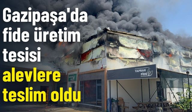Gazipaşa'da fide üretim tesisi alevlere teslim oldu