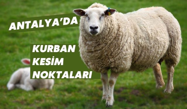 Antalya'da kurban kesim noktaları