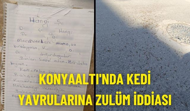 Konyaaltı'nda kedi yavrularına zulüm iddiası