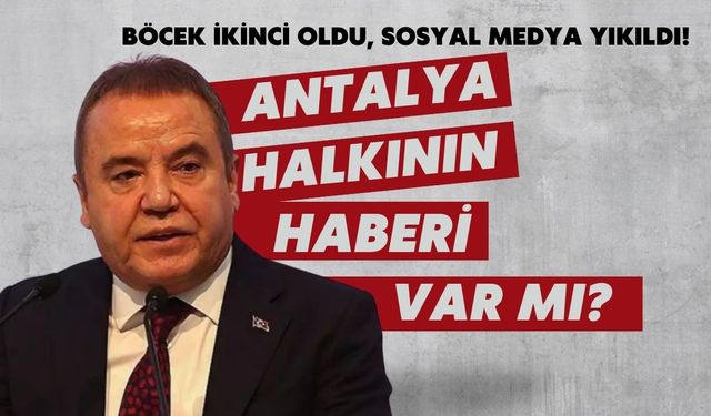 Böcek ikinci oldu, sosyal medya yıkıldı! Antalya halkının haberi var mı?