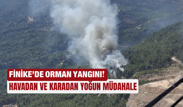 Finike’de orman yangını: Havadan ve karadan yoğun müdahale