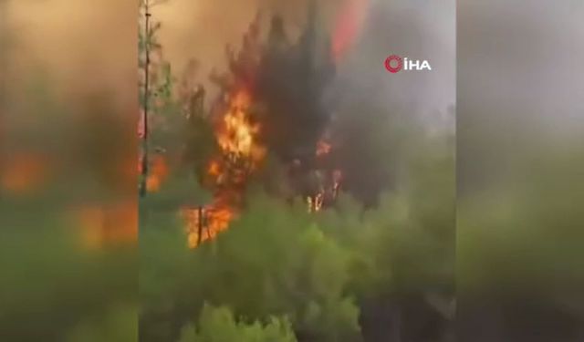 Orman yangınında itfaiyecilerin ölüm kalım savaşı: "Geri çık ağabey yanacağız"