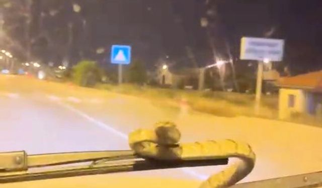 Aracın ön camına çıktı; Sürücü şok yaşadı!