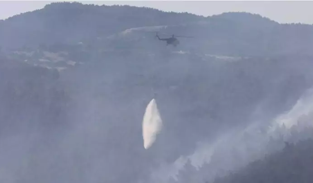 Manisa'daki orman yangını 2’nci gününde