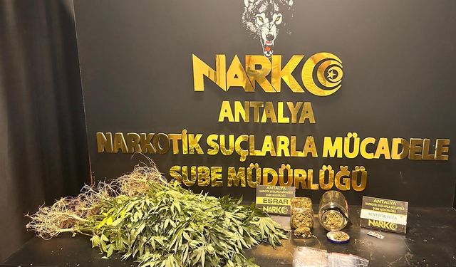 Operasyonda 20 kişi tutuklandı
