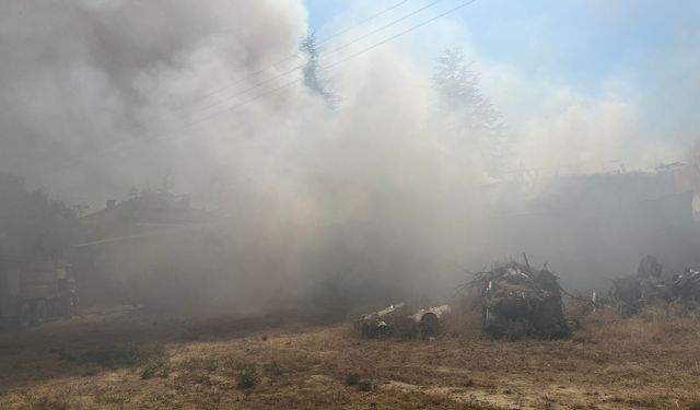 Kuru otları yakmak istedi... Yangın evlere sıçradı