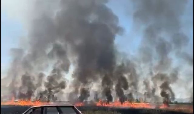 Burdur'da 50 dönüm arazi yandı