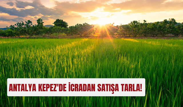 Antalya Kepez'de 17 dönümlük tarla icradan satışa çıkıyor!