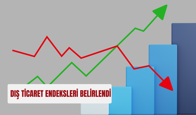 Dış ticaret endeksleri belirlendi (TÜİK açıkladı)