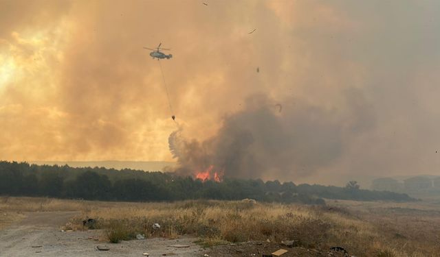 Çanakkale'de orman yangını