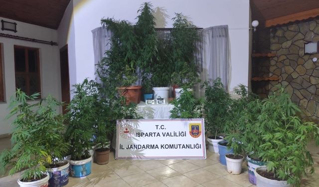 Isparta'da zehir operasyonu