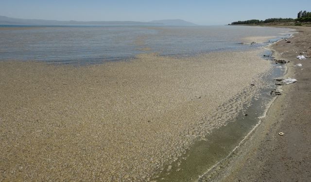 Van Gölü alarm veriyor