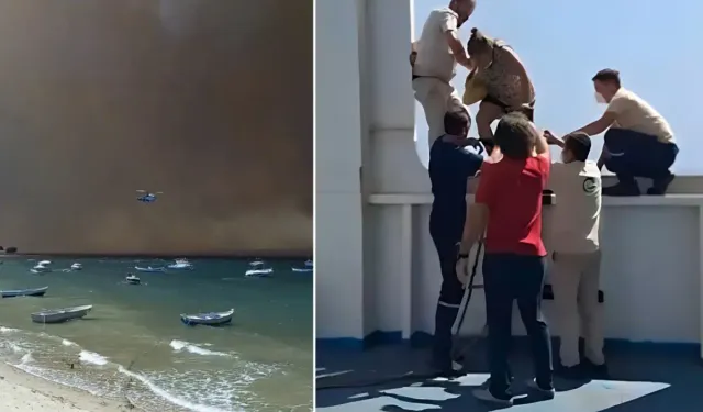 Çanakkale Boğazı duman altında kaldı, vatandaşlar deniz yoluyla tahliye edilmeye başlandı