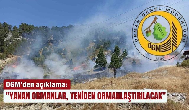 "Yanan ormanlar yeniden ormanlaştırılacak"