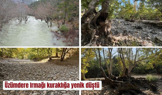 Üzümdere Irmağı kuraklığa yenik düştü