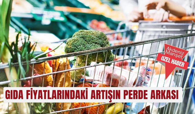 Gıda fiyatlarındaki artışın perde arkası