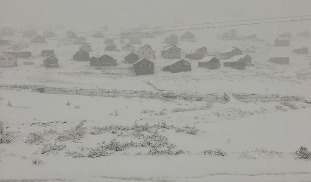 Doğu Karadeniz’in sahili ve iç kesimlerindeki şiddetli yağış yerini zirvelerde kara bıraktı