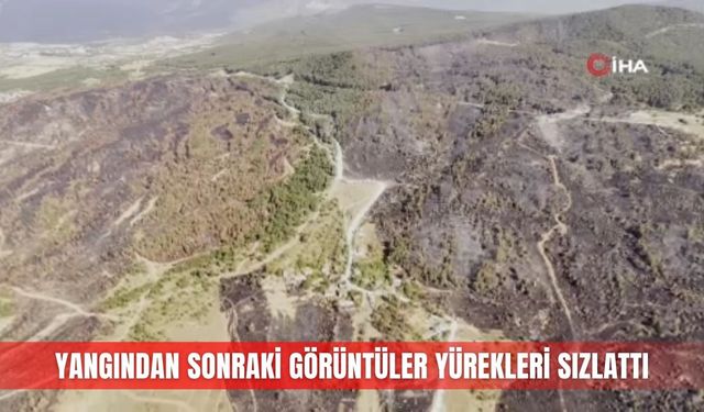 Yangından sonraki görüntüler yürekleri sızlattı