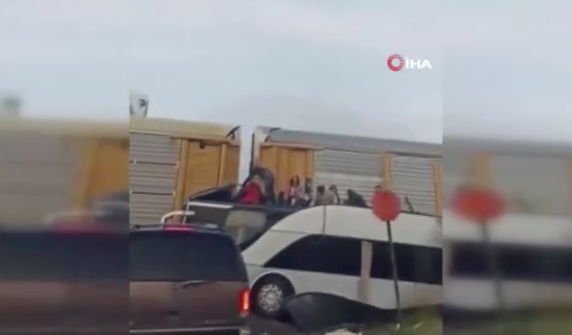 Meksika’da katliam gibi kaza!