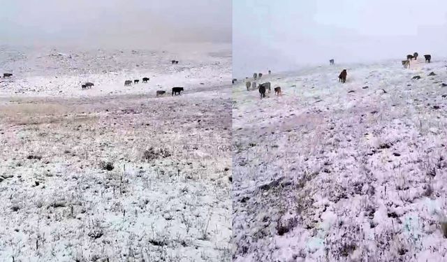 Mevsimin ilk karı yağdı