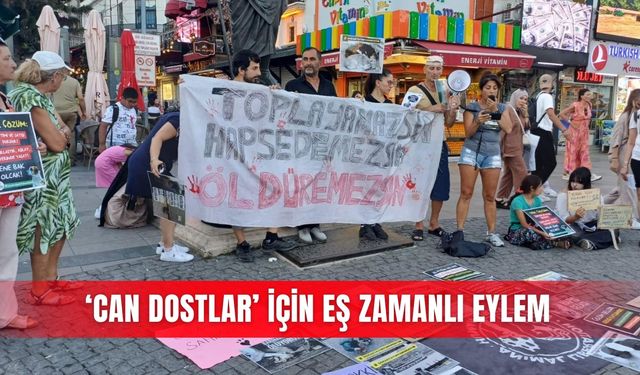 ‘Can dostlar’ için eş zamanlı eylem