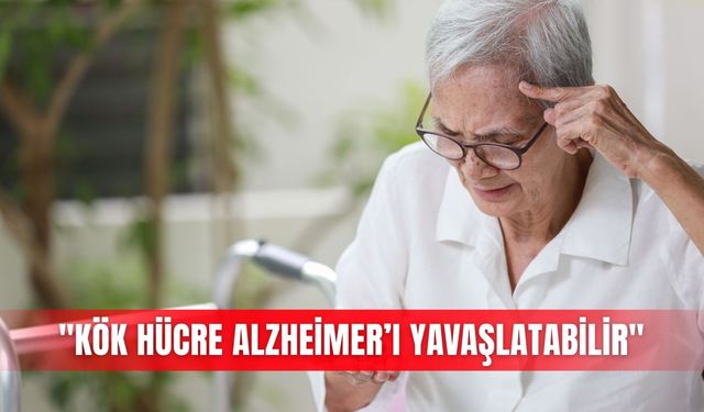 "Kök hücre Alzheimer’ı yavaşlatabilir"