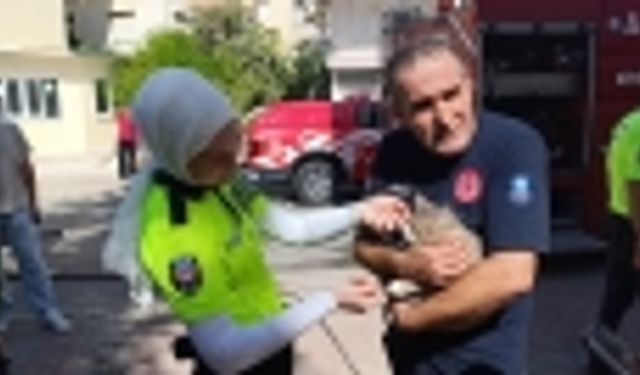 Yangından korkan kedi sağ salim kurtuldu