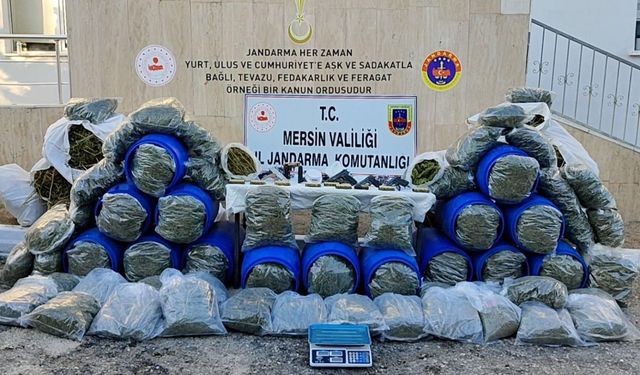 Mersin'de şafak operasyonu