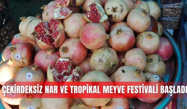 Çekirdeksiz Nar ve Tropikal Meyve Festivali başladı
