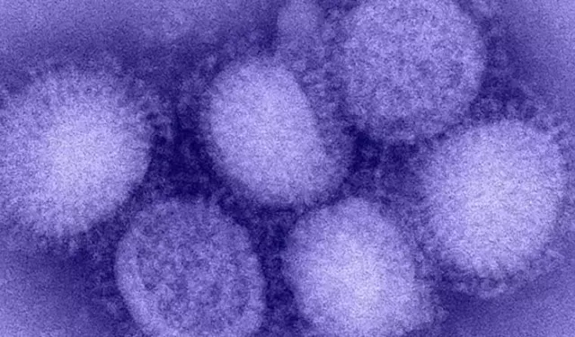 Kuzey Yarımküre'de 'H3N2' alarmı