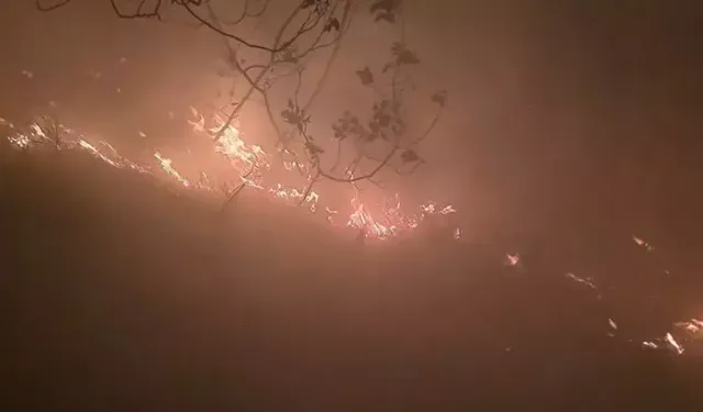 Hatay’da düşen yıldırım sonucu ormanda yangın çıktı