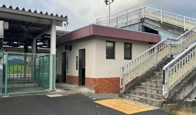 Japonya'da tren istasyonundaki umumi tuvalette ayı saldırısı