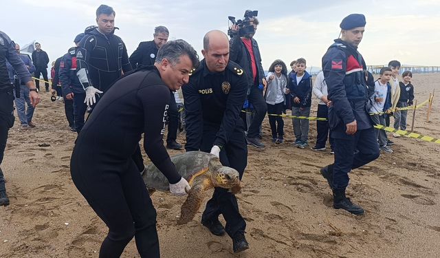 Yeniden özgürlüğe kavuştu