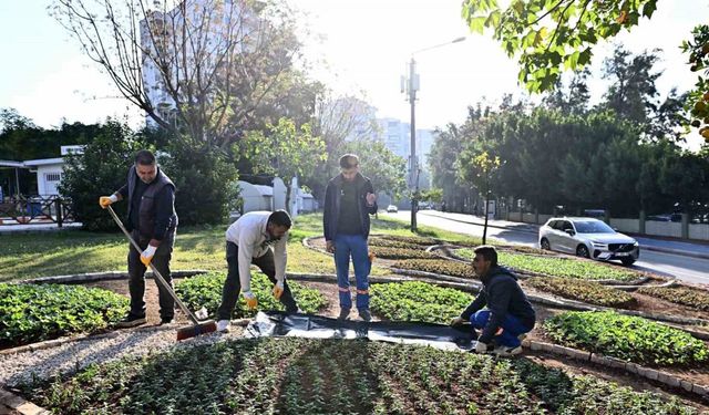 Muratpaşa’da Trafik Parkı çiçek bahçesine dönüştü