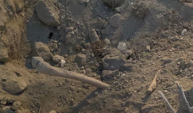 Kazı sırasında insan kemikleri bulundu