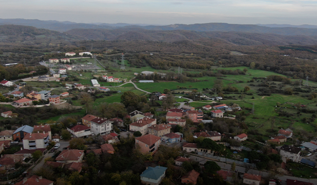 Şile’de şap alarmı: 3 köy karantinada
