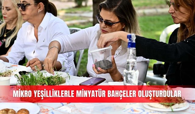 Mikro yeşilliklerle minyatür bahçeler oluşturdular