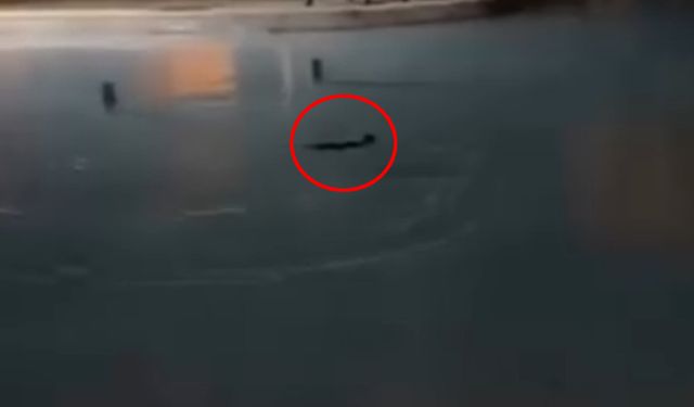 Sokak kedisini defalarca süs havuzuna attılar