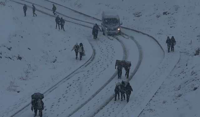 Yüksekova yoğun kara teslim oldu